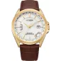 Годинник Citizen CB0253-19A