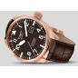 V.1.22.2.151.4 Швейцарський годинник Aviator