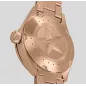 V.1.22.2.152.5 Швейцарський годинник Aviator