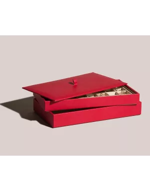 434972 Vault Lid for Trays WOLF Red