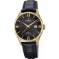 Годинник Festina Swiss Made F20010/4