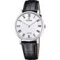Годинник Festina Swiss Made F20012/2