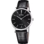 Годинник Festina Swiss Made F20012/4