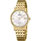 Часы Festina Swiss Made F20021/1