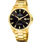 Годинник Festina Swiss Made F20044/6