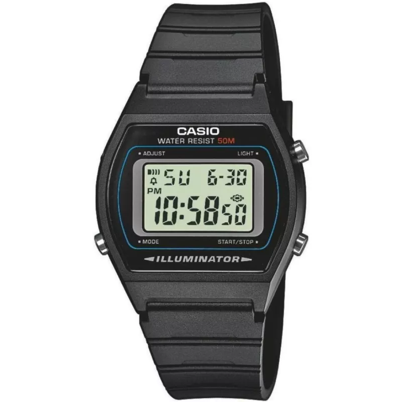 Часы Casio TIMELESS COLLECTION W-202-1AVEF