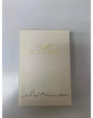 Жіночий наручний годинник FERRO F21195B-R