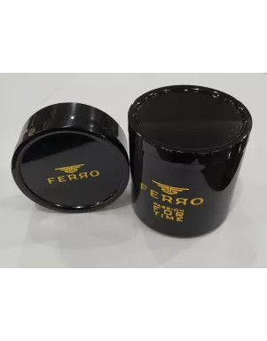 Жіночий наручний годинник FERRO F21124A-R