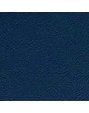 392217 Sophia Travel Zip Case WOLF Indigo