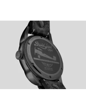 V.3.18.5.162.4 Швейцарський годинник Aviator