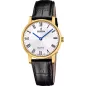 Годинник Festina Swiss Made F20017/4