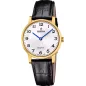 Часы Festina Swiss Made F20017/5