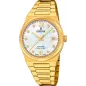 Часы Festina Swiss Made F20039/1