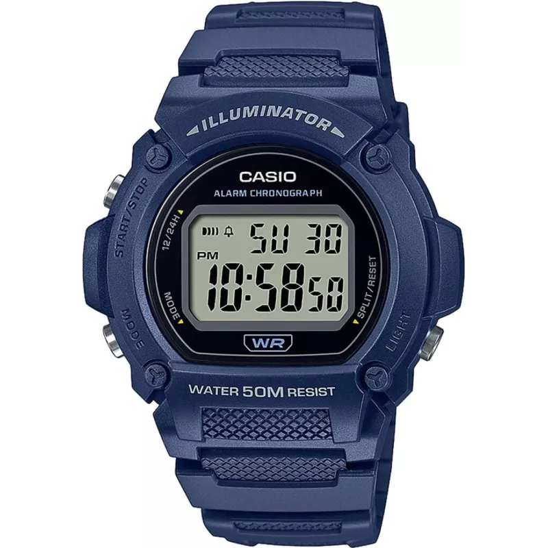 Годинник Casio TIMELESS COLLECTION W-219H-2AVEF