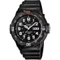 Часы Casio TIMELESS COLLECTION MRW-200H-1BVEG