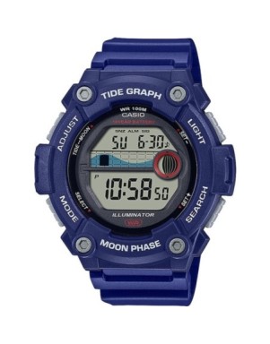Годинник Casio TIMELESS COLLECTION WS-1300H-2AVEF