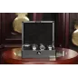 Скринька для зберігання годинників Salvadore 802-8TB