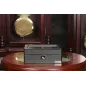 Скринька для зберігання годинників Salvadore 802-8TB