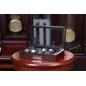 Шкатулка для зберігання прикрас Salvadore WB/2381/8.JW