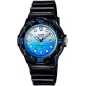 Годинник Casio TIMELESS COLLECTION LRW-200H-2E