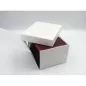 Шкатулка для зберігання годинників Craft 1WB.RD