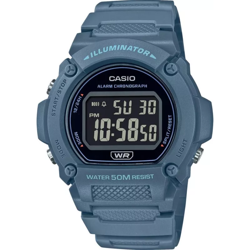 Часы Casio TIMELESS COLLECTION W-219HC-2B