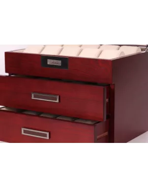 Шкатулка для зберігання годинників Salvadore WB/2350/30.C