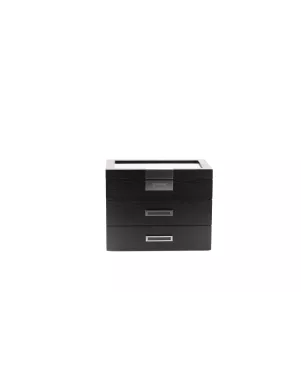 Шкатулка для зберігання годинників Salvadore WB/2350/30.BL.PU