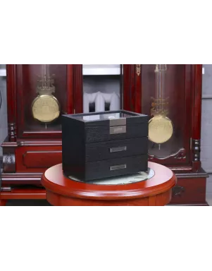 Шкатулка для зберігання годинників Salvadore WB/2350/30.BL.PU