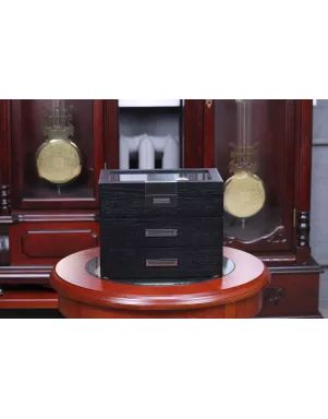 Шкатулка для зберігання годинників Salvadore WB/2350/30.BL.PU