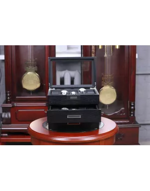 Шкатулка для зберігання годинників Salvadore WB/2350/30.BL.PU