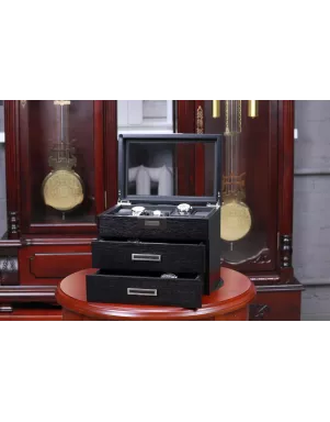 Шкатулка для зберігання годинників Salvadore WB/2350/30.BL.PU