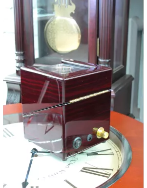 Шкатулка Salvadore для підзаводу 1 годинника 1041/EB5.SP 1x1
