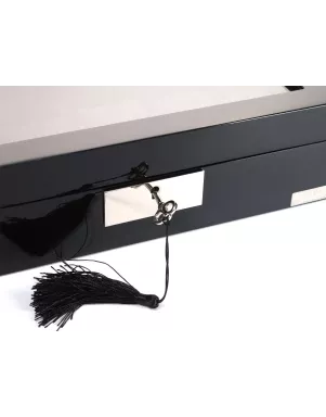 Шкатулка для зберігання годинників Salvadore WB/2386/10.BL