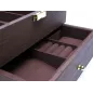 Шкатулка для зберігання годинників Craft 10WB.JW.BR