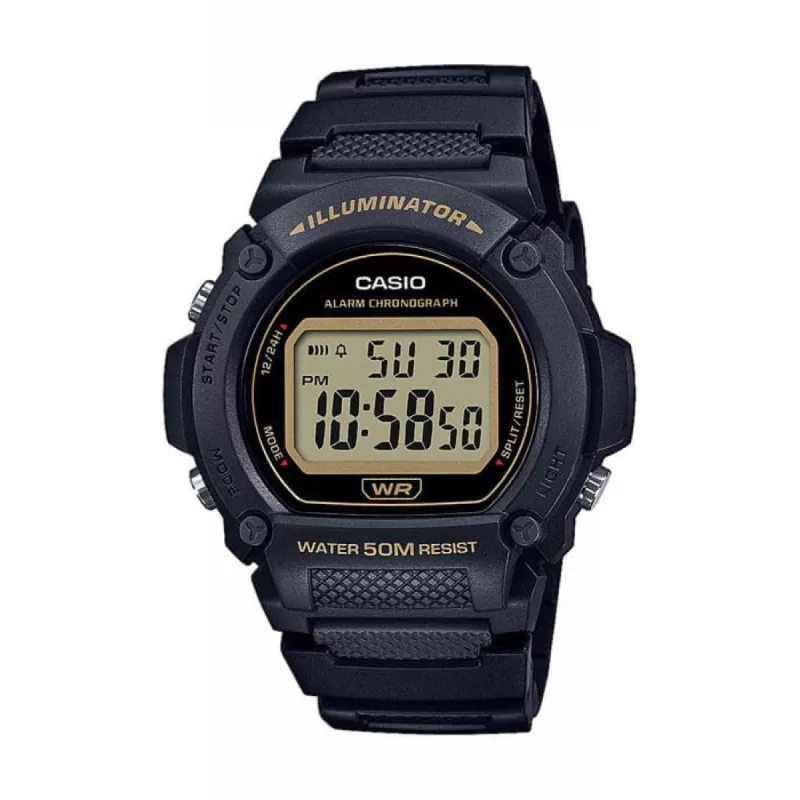 Годинник Casio TIMELESS COLLECTION W-219H-1A2VEF