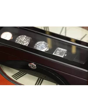 Шкатулка для зберігання годинників Salvadore WB/3081/BB