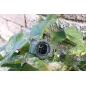 Casio G-SHOCK GBD-800UC-3ER Casio G-SHOCK GBD-800UC-3ER