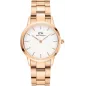 Годинник Daniel Wellington Iconic Link DW00100211