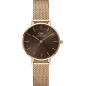 Часы Daniel Wellington Petite Amber DW00100476