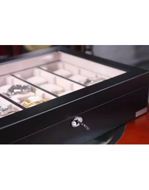 Шкатулка для зберігання годинників Salvadore WB/1100/20.BL
