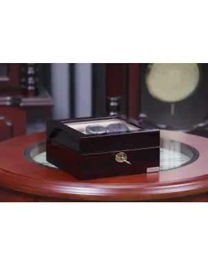Шкатулка для зберігання годинників Salvadore 841-6EC