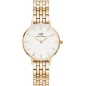 Годинник Daniel Wellington Petite 5-Link Evergold DW00100614