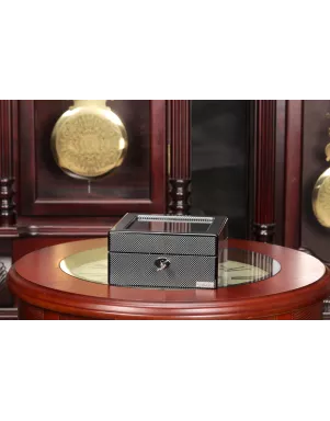 Шкатулка для зберігання годинників Salvadore 802-6TB