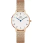Часы Daniel Wellington Petite Roman Numerals Melrose DW00100681