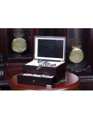 Скринька для зберігання годинників Salvadore WB/1672/20E