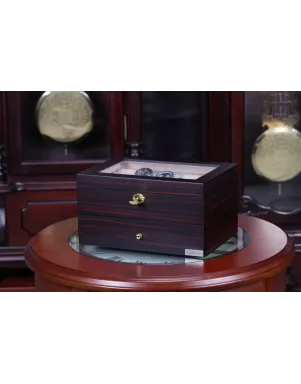 Скринька для зберігання годинників Salvadore WB/1672/20E