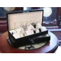 Шкатулка для зберігання годинників Salvadore 12W-BX