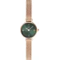 Часы Daniel Wellington Petite Mini DW00100742