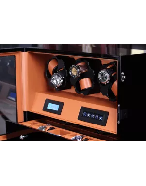 Шкатулка Salvadore для підзаводу 6 годинників X-2/03-BBR